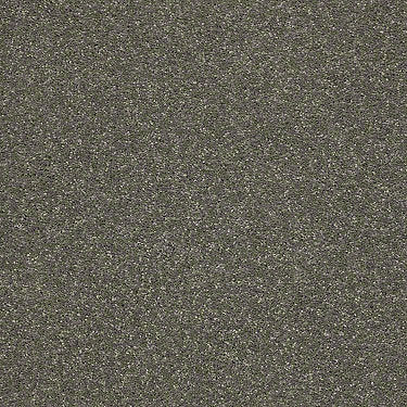 Basic Rules Residential Carpet