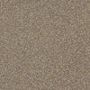 Just A Hint II Residential Carpet