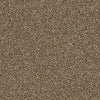 Points Of Color I Residential Carpet