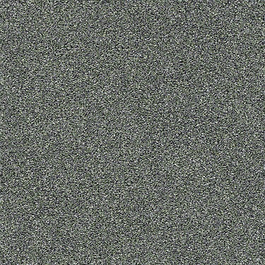 Points Of Color II Residential Carpet