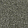 Points Of Color II Residential Carpet