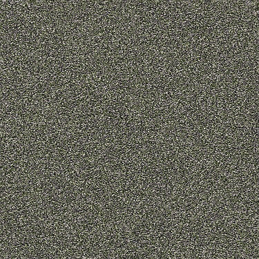Points Of Color II Residential Carpet