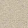 Shake It Up (S) Residential Carpet