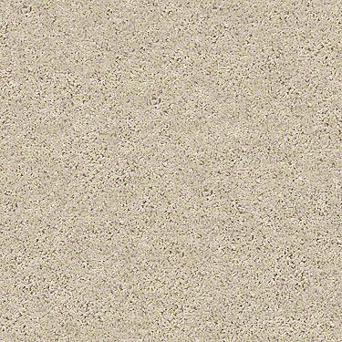 Shake It Up (S) Residential Carpet