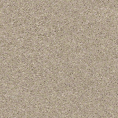 Shake It Up (S) Residential Carpet
