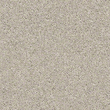 Shake It Up (S) Residential Carpet