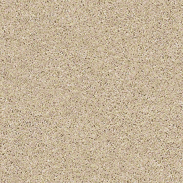 Shake It Up (S) Residential Carpet