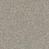 Shake It Up (S) Residential Carpet