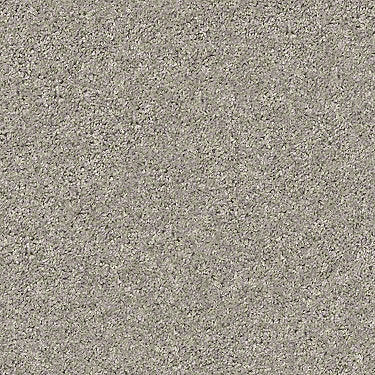 Shake It Up (S) Residential Carpet