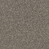 Shake It Up (S) Residential Carpet