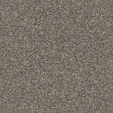 Shake It Up (S) Residential Carpet