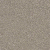 Shake It Up (S) Residential Carpet