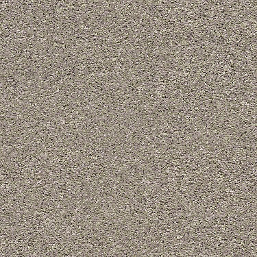 Shake It Up (S) Residential Carpet