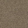 Shake It Up (S) Residential Carpet
