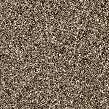 Shake It Up (S) Residential Carpet