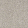 Always Ready I Residential Carpet