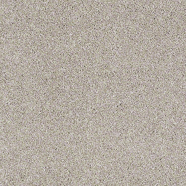 Always Ready I Residential Carpet