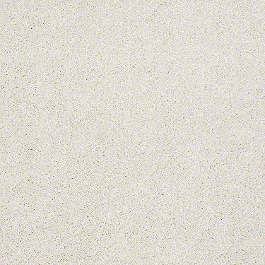 Always Ready I Residential Carpet