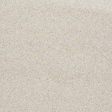 Always Ready I Residential Carpet