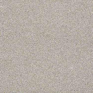 Always Ready I Residential Carpet