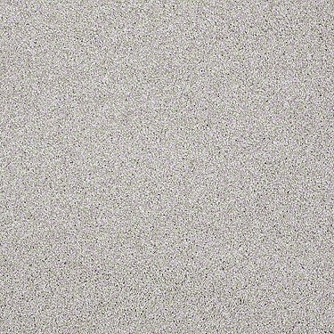 Always Ready I Residential Carpet