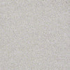 Always Ready I Residential Carpet