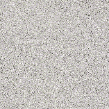 Always Ready I Residential Carpet