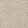 Always Ready I Residential Carpet