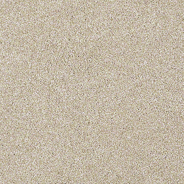 Always Ready I Residential Carpet