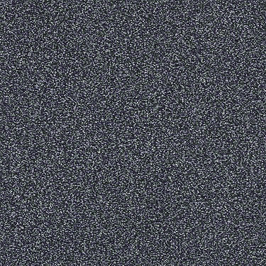 Always Ready I Residential Carpet