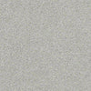 Always Ready I Residential Carpet