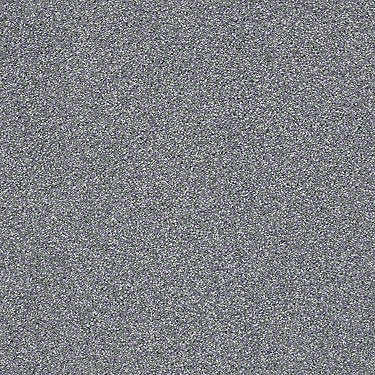 Always Ready I Residential Carpet