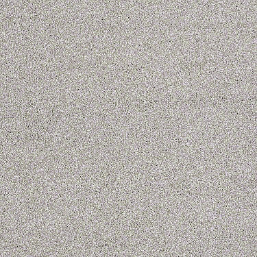 Always Ready I Residential Carpet