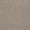 Always Ready I Residential Carpet