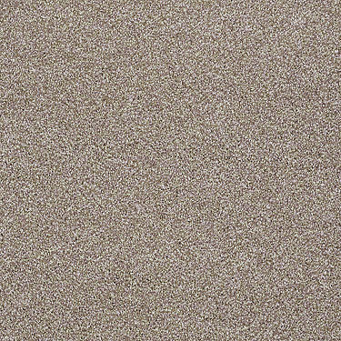 Always Ready I Residential Carpet