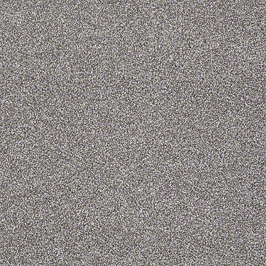 Always Ready I Residential Carpet