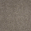 Always Ready I Residential Carpet