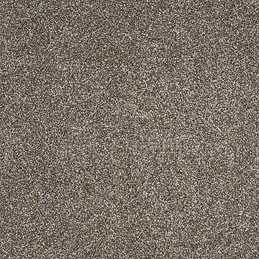 Always Ready I Residential Carpet