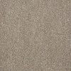 Always Ready I Residential Carpet