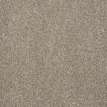 Always Ready I Residential Carpet