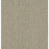 Insightful Way Residential Carpet