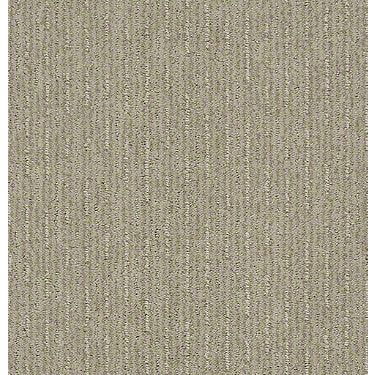 Insightful Way Residential Carpet
