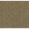 Insightful Way Residential Carpet