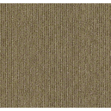 Insightful Way Residential Carpet