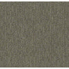 Insightful Way Residential Carpet