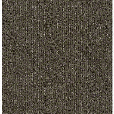 Insightful Way Residential Carpet