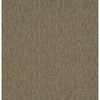 Insightful Way Residential Carpet