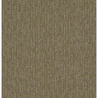 Insightful Way Residential Carpet