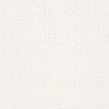 Complete Control Residential Carpet