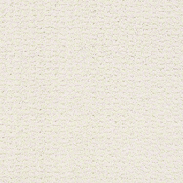 Complete Control Residential Carpet